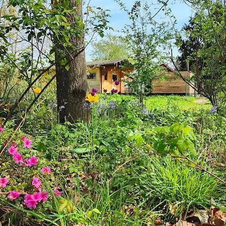 Apartament Le Refuge Du Castor *